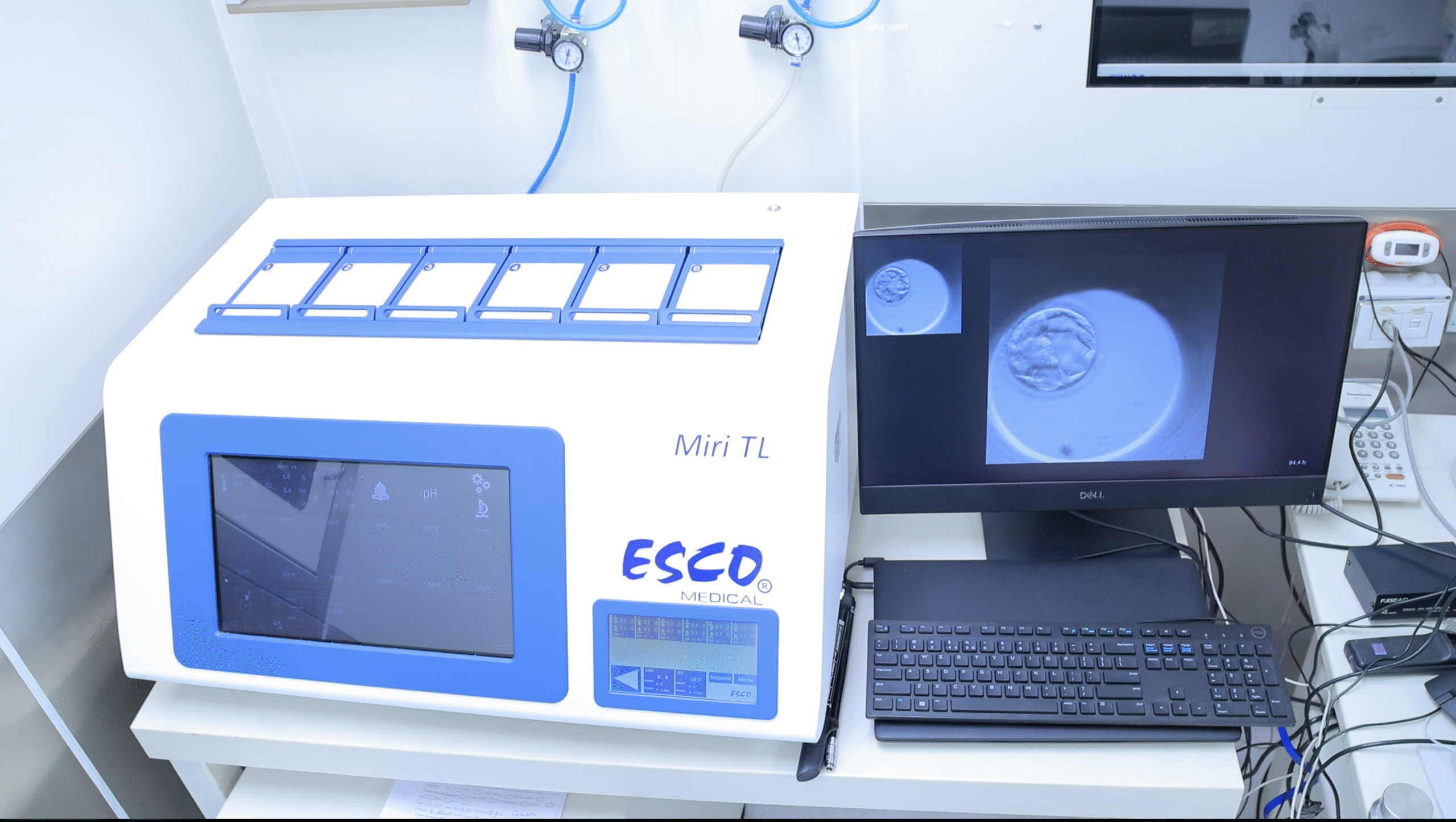 Screenshot 2024-09-01 at 9.48.07 in the morning